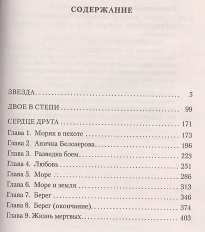 Звезда - фото 4