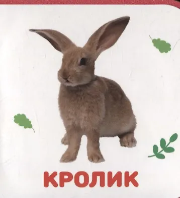 Домашние животные - фото 4
