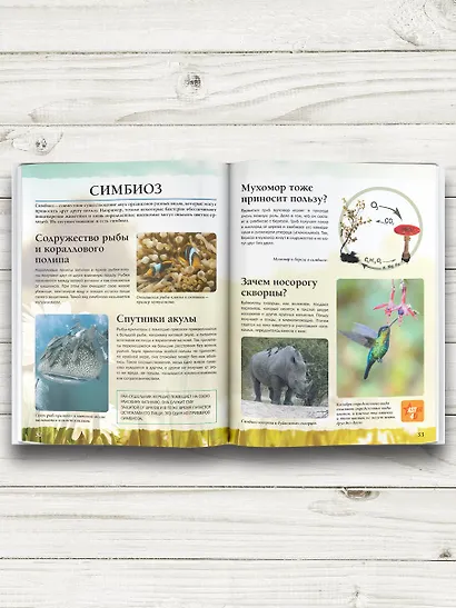 Живой мир - фото 5