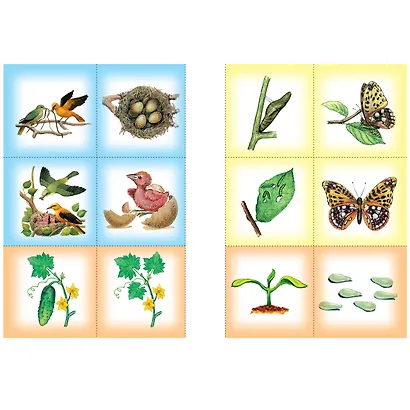 Тайны природы. Для занятий с детьми от 5 до 6 лет - фото 2