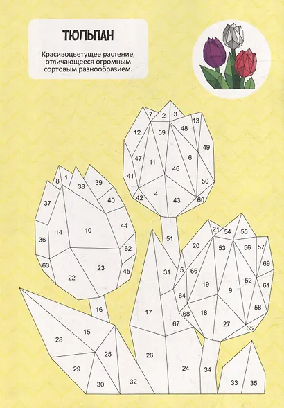 Раскрась по номерам. Цветы - фото 3