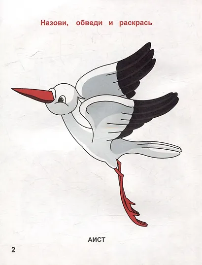 Назови, обведи и раскрась. Птицы - фото 2