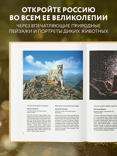 Россия самая красивая страна. Фотоконкурс 2025 - фото 5