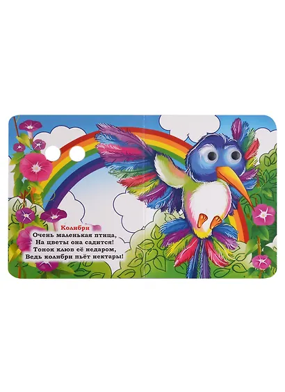 Веселые глазки. Удивительные птицы - фото 5