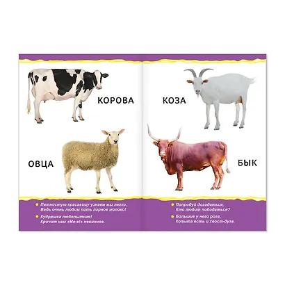 Домашние животные для малышей - фото 2