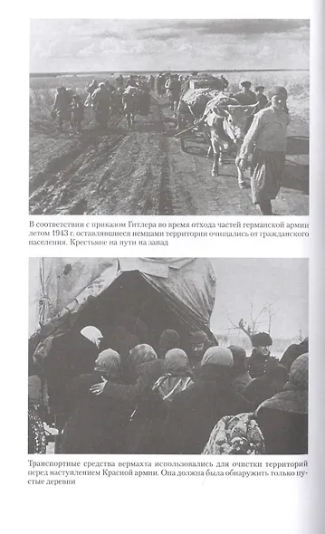 Война в немецком тылу. Оккупационные власти против советских партизан. 1941—1944 - фото 8