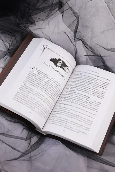 Короны Ниаксии. Певчая птица и каменное сердце. Книга первая из дилогии о тенерожденных - фото 15