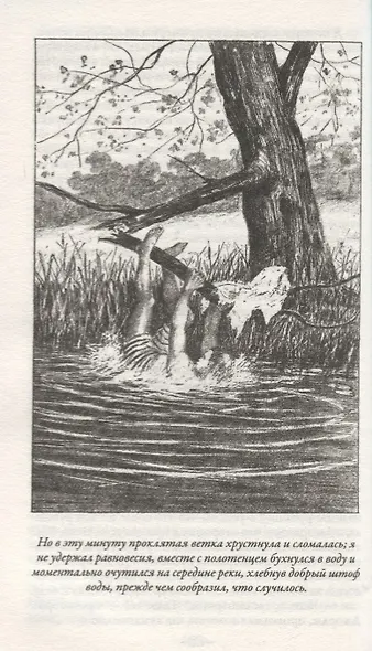 Трое в лодке, не считая собаки - фото 7