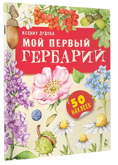 Мой первый гербарий - фото 3
