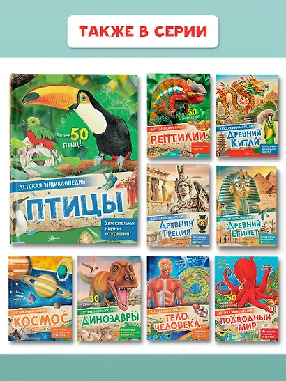 Птицы - фото 8