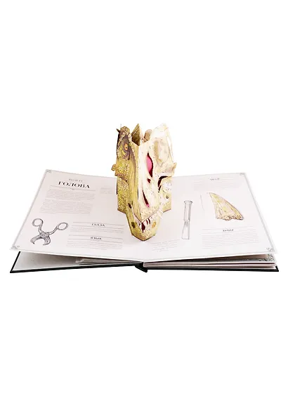 Тираннозавр рекс. Интерактивная книга-панорама - фото 7