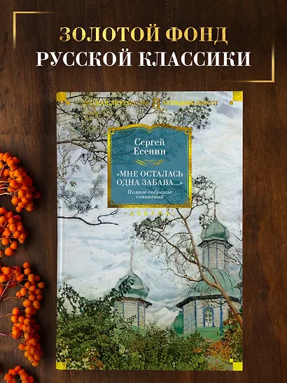 «Мне осталась одна забава...». Полное собрание сочинений - фото 4
