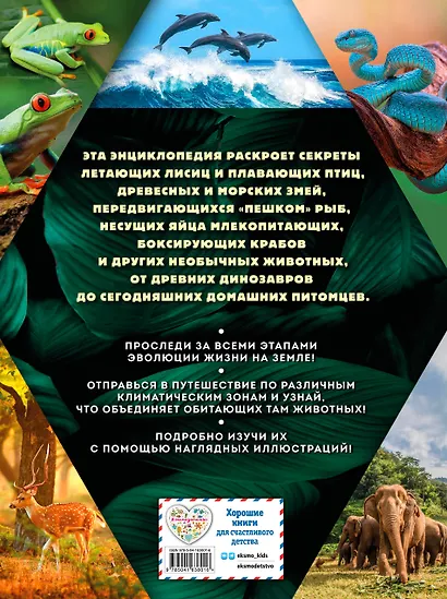 Тайны животных. Самая невероятная энциклопедия - фото 2
