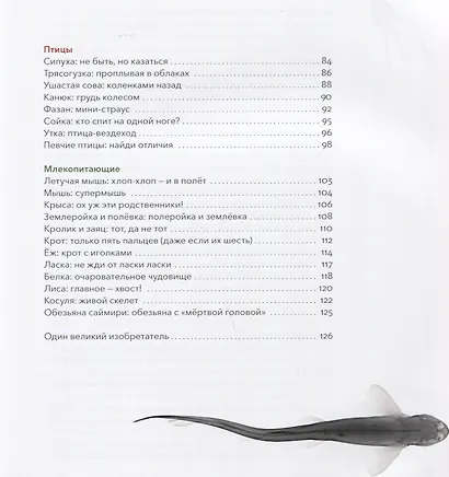 Вижу насквозь. Уникальные рентгеновские снимки животных - фото 9