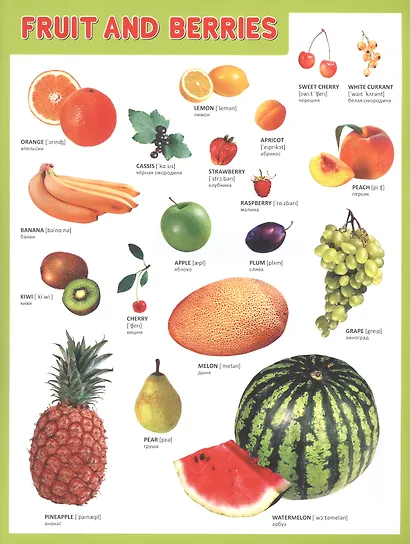 Мой первый английский словарик в картинках - фото 4