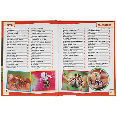 Пауки. 100 фактов - фото 2