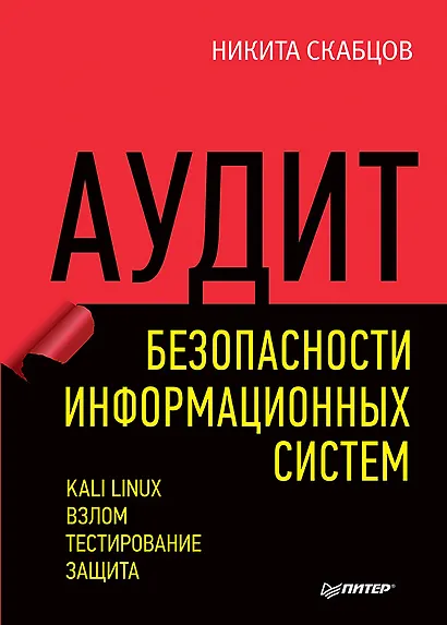 Аудит безопасности информационных систем - фото 1