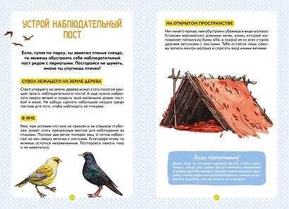 Птицы - фото 8