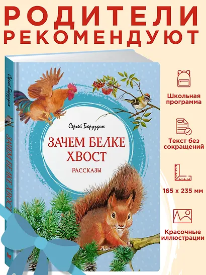 Зачем белке хвост. Рассказы - фото 4