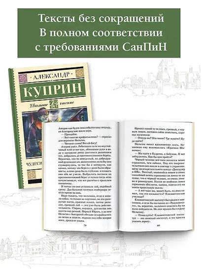 Чудесный доктор. Рассказы - фото 4