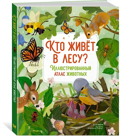 Кто живёт в лесу? Иллюстрированный атлас животных - фото 3