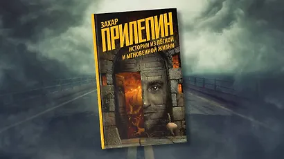 Истории из легкой и мгновенной жизни - фото 5