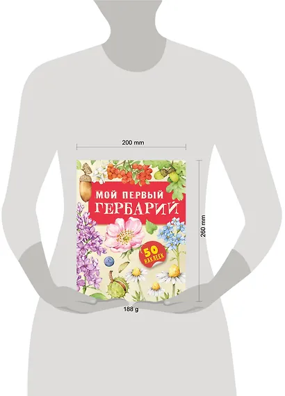 Мой первый гербарий - фото 6