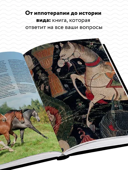 Лошади. Самая полная иллюстрированная энциклопедия - фото 5