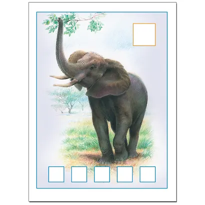 Я считаю до пяти.. Для занятий с детьми от 3 до 4 лет - фото 2