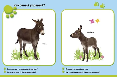 На ферме. Развиваем малыша (0-1 год) - фото 3