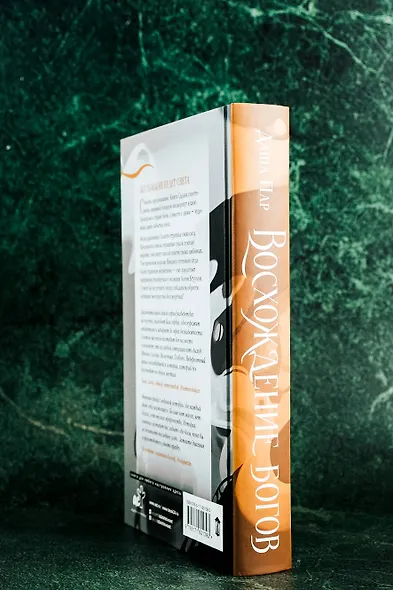 Восхождение богов - фото 9