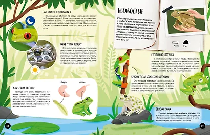 Что? Как? Почему? Мои первые знания про ЖИВОТНЫХ (с постером) - фото 8