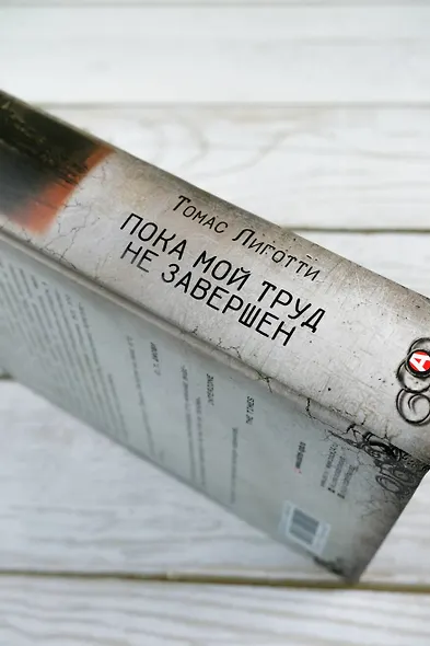 Пока мой труд не завершен - фото 8