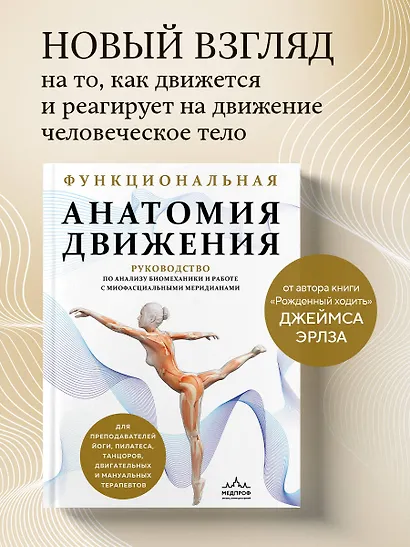 Функциональная анатомия движения. Руководство по анализу биомеханики и работе с миофасциальными меридианами - фото 4