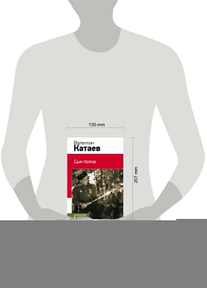 Сын полка - фото 4