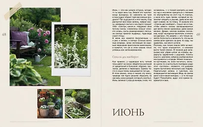 Сад моей мечты. Неспешное создание своего места силы - фото 11