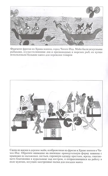 Повседневная жизнь майя. Быт, религия, культура - фото 6