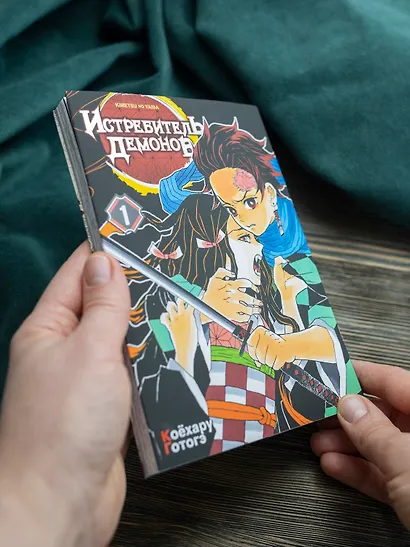 Истребитель демонов. Том 1 (Клинок, рассекающий демонов / Demon Slayer: Kimetsu no Yaiba). Манга - фото 9