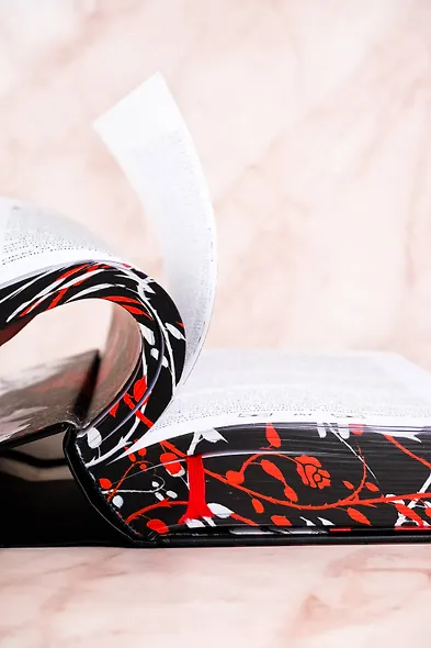 Охота на Джека-потрошителя. Охота на князя Дракулу - фото 10