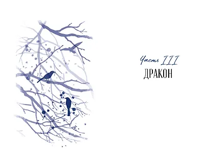 Демон, красавица и дракон - фото 13