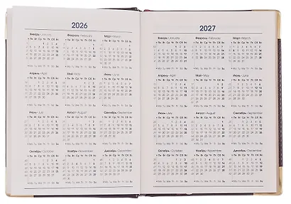 Ежедневник дат. 2026г. А6 176л "Status" каштановый, 7Б, тв.переплет, иск.кожа, обл.поролон, мет.уголки, тонир.блок, цв.торец, ляссе, инд.уп - фото 4