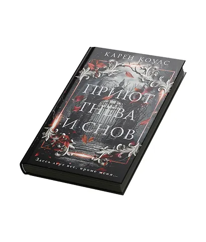 Приют гнева и снов - фото 3