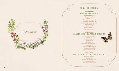 Акварельный лес. Ботанический дневник для любителей природы и акварели - фото 3