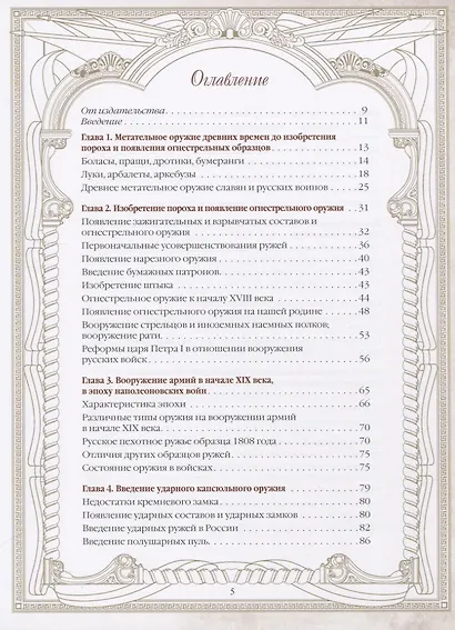 История винтовки - фото 2
