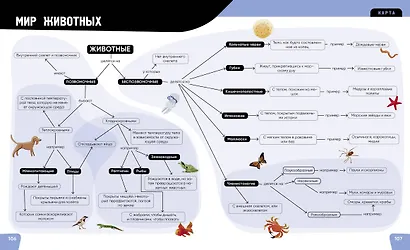 Наука. Самая умная энциклопедия - фото 11