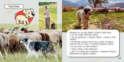 Какие бывают собаки? - фото 4