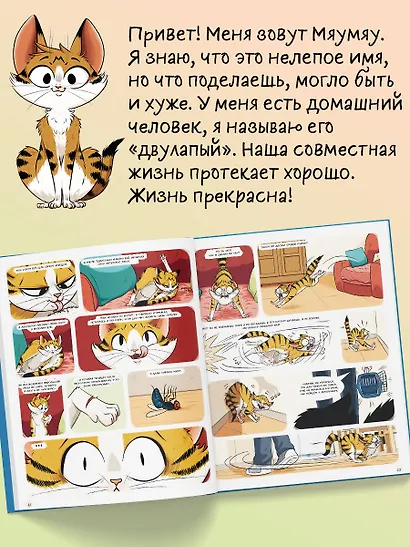 Мяумяу. Эти странные люди - фото 5