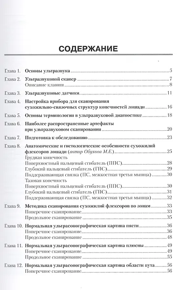 Ультразвуковое обследование конечностей лошади. Сухожилия флексоры области пясти, плюсны, пута. - фото 2