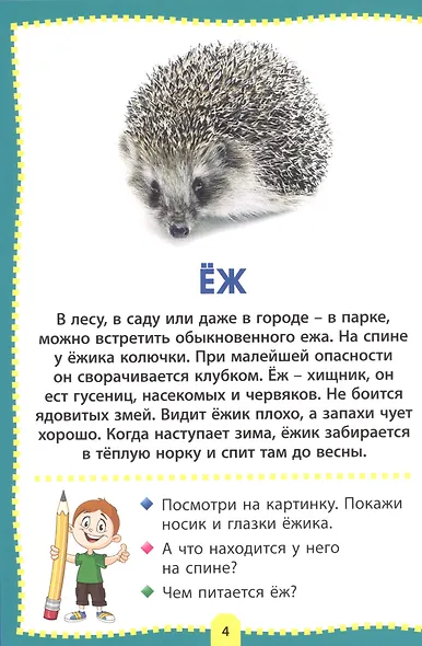Лесные животные. Фотокнига для самых маленьких - фото 4