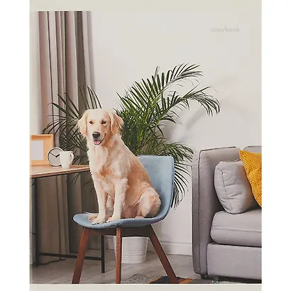 Тетрадь в клетку Listoff, "Домашние любимцы", 96 листов, в ассортименте - фото 3